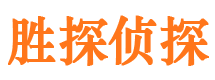 清流市私人侦探